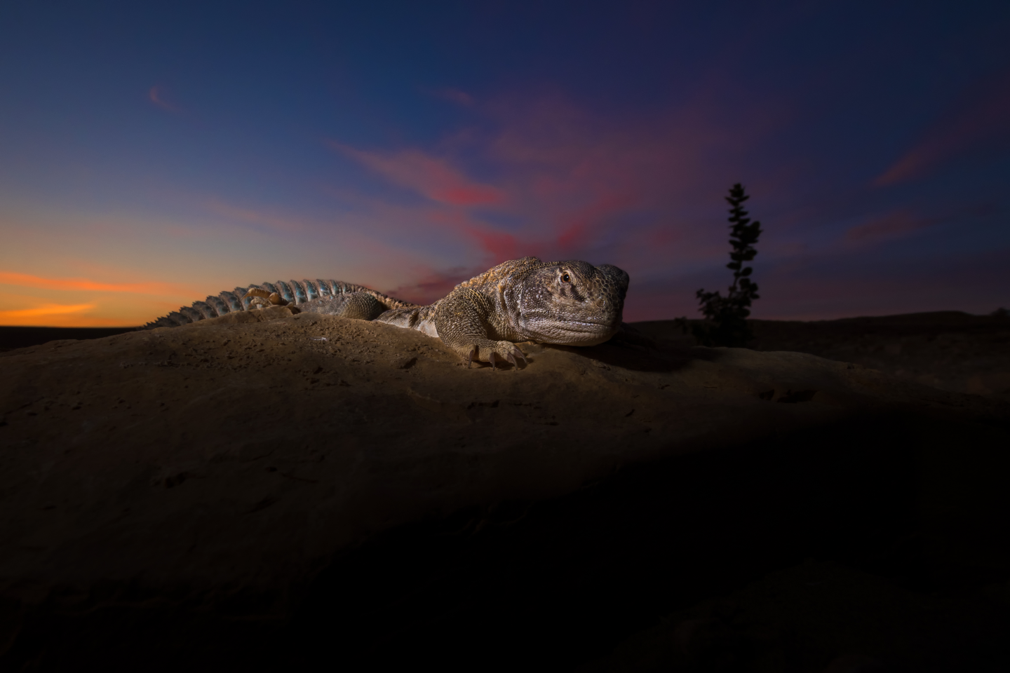 Jaisalmer, Rajasthan, India